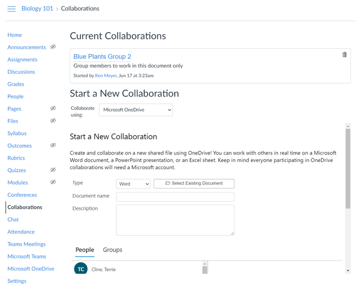 In the Collaborations area in the Canvas course, you can create a new collaboration or view existing collaborations. 